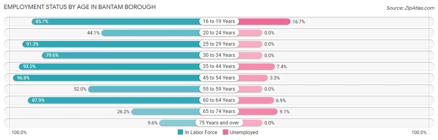 Employment Status by Age in Bantam borough