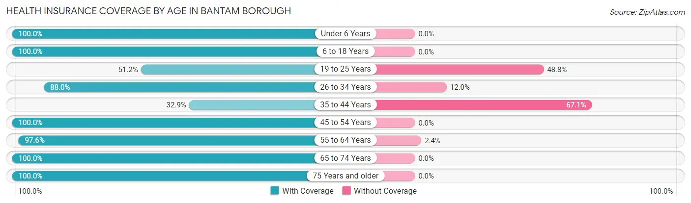 Health Insurance Coverage by Age in Bantam borough