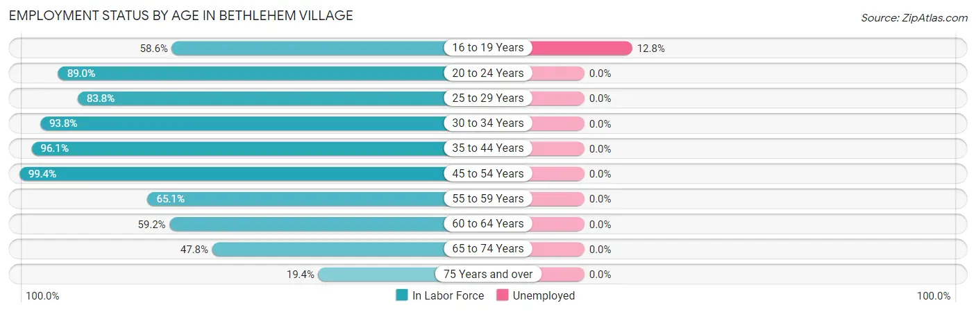 Employment Status by Age in Bethlehem Village