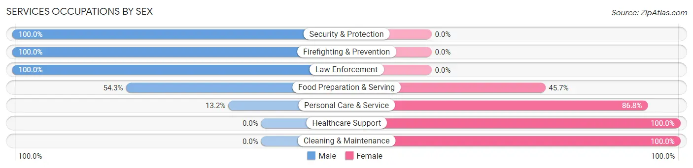 Services Occupations by Sex in Bethlehem Village