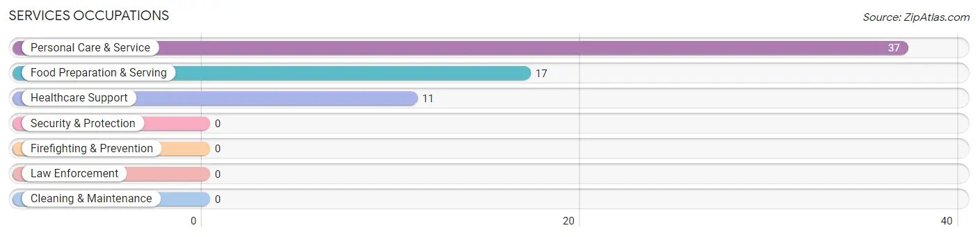 Services Occupations in Bigelow Corners