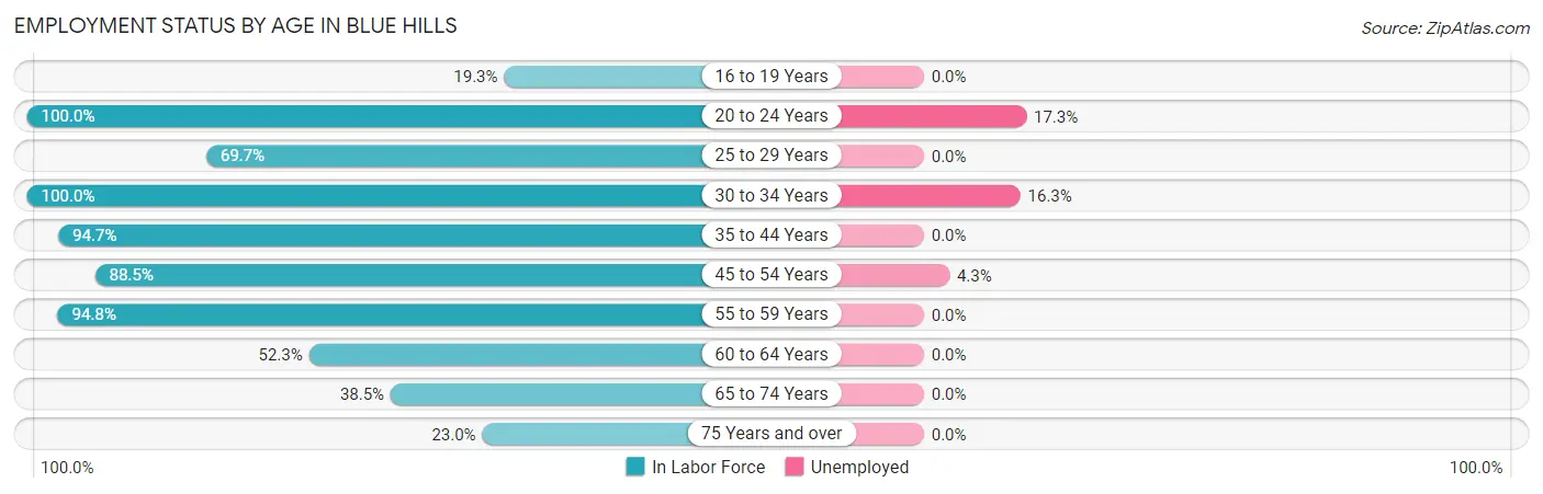 Employment Status by Age in Blue Hills