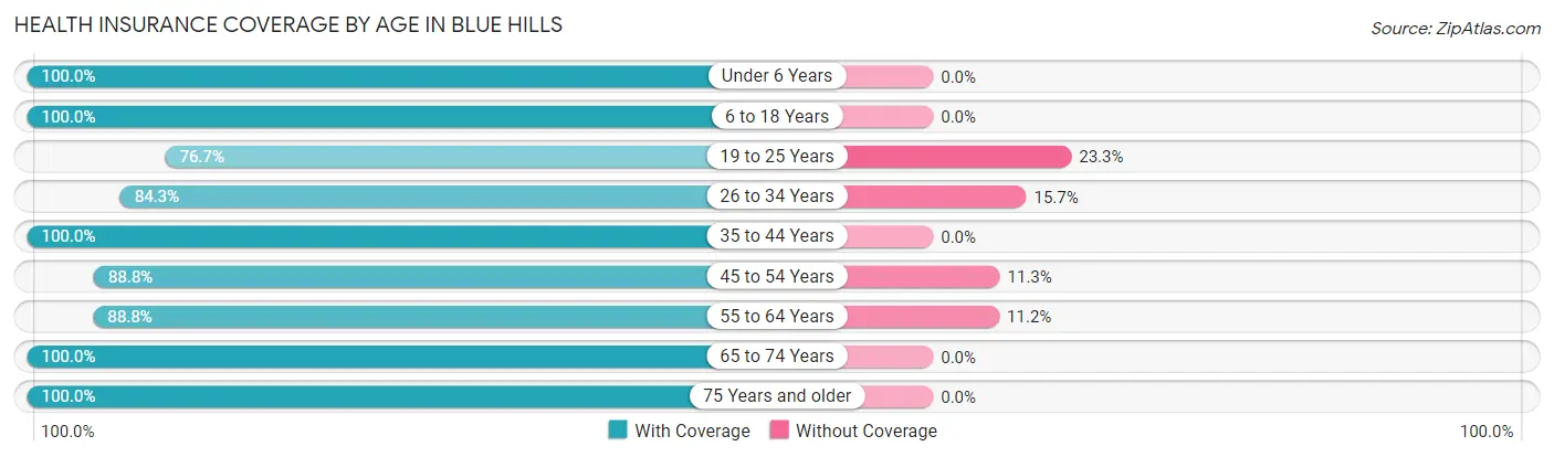 Health Insurance Coverage by Age in Blue Hills