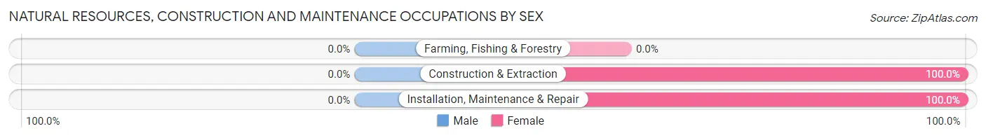 Natural Resources, Construction and Maintenance Occupations by Sex in Blue Hills