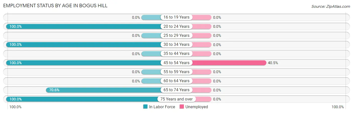 Employment Status by Age in Bogus Hill
