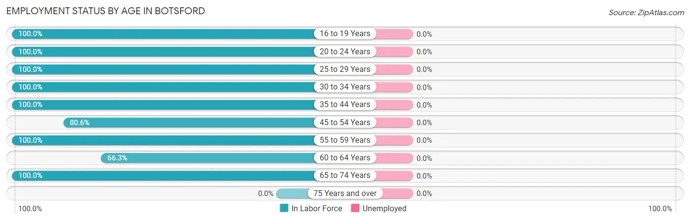 Employment Status by Age in Botsford