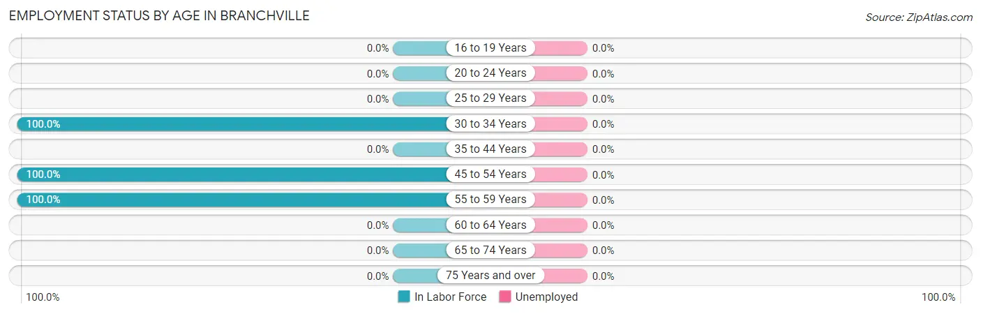 Employment Status by Age in Branchville