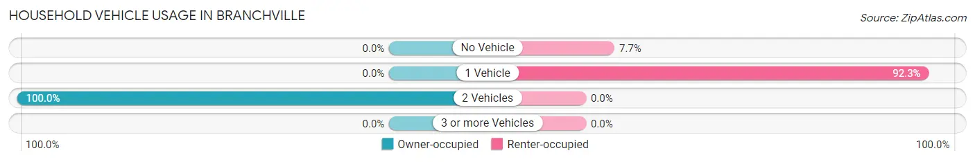 Household Vehicle Usage in Branchville