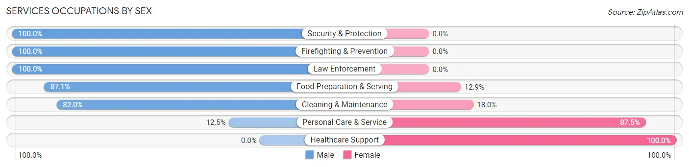 Services Occupations by Sex in Branford Center