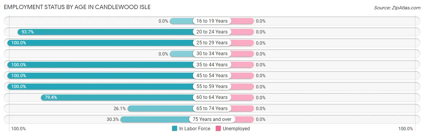 Employment Status by Age in Candlewood Isle