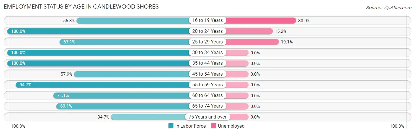 Employment Status by Age in Candlewood Shores