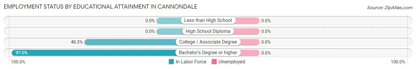 Employment Status by Educational Attainment in Cannondale