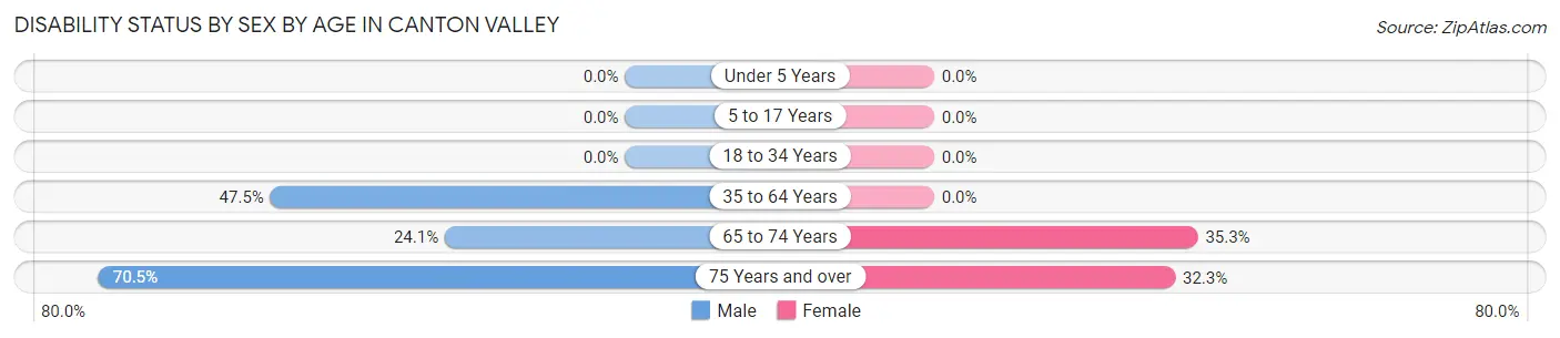 Disability Status by Sex by Age in Canton Valley