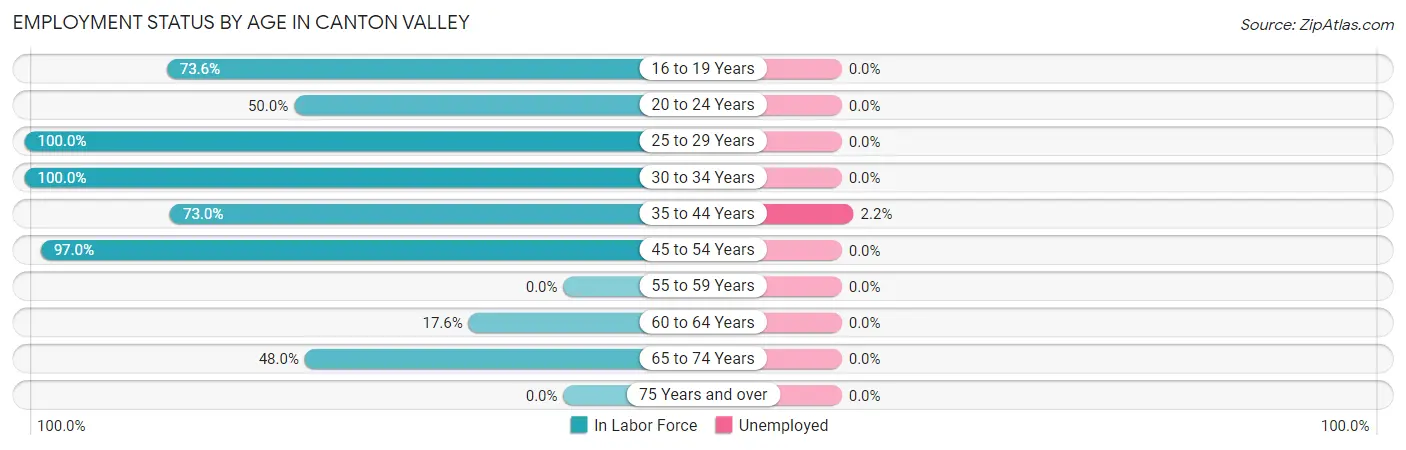 Employment Status by Age in Canton Valley