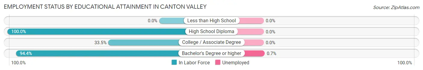 Employment Status by Educational Attainment in Canton Valley