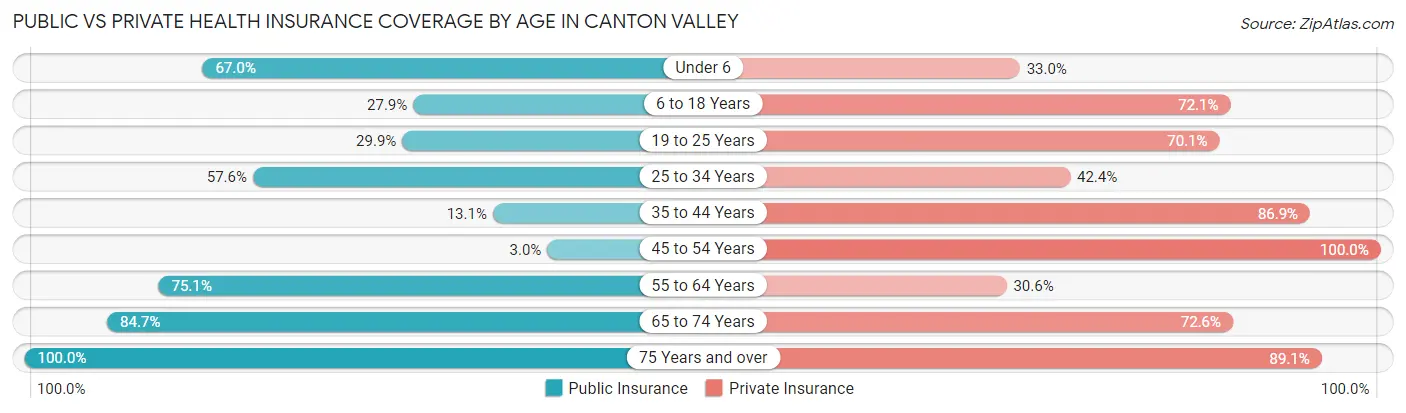 Public vs Private Health Insurance Coverage by Age in Canton Valley