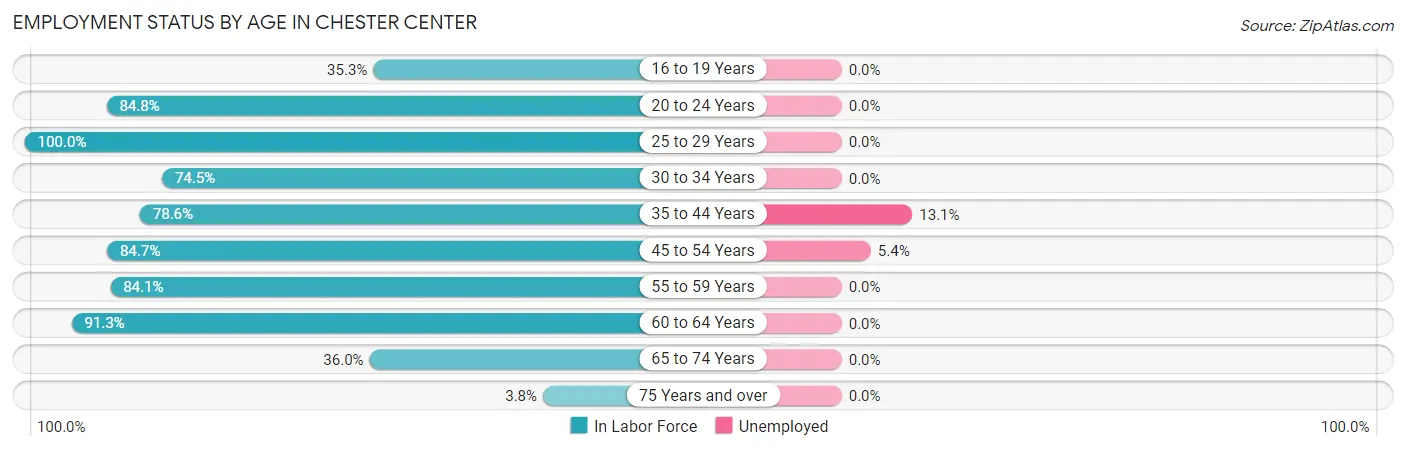 Employment Status by Age in Chester Center