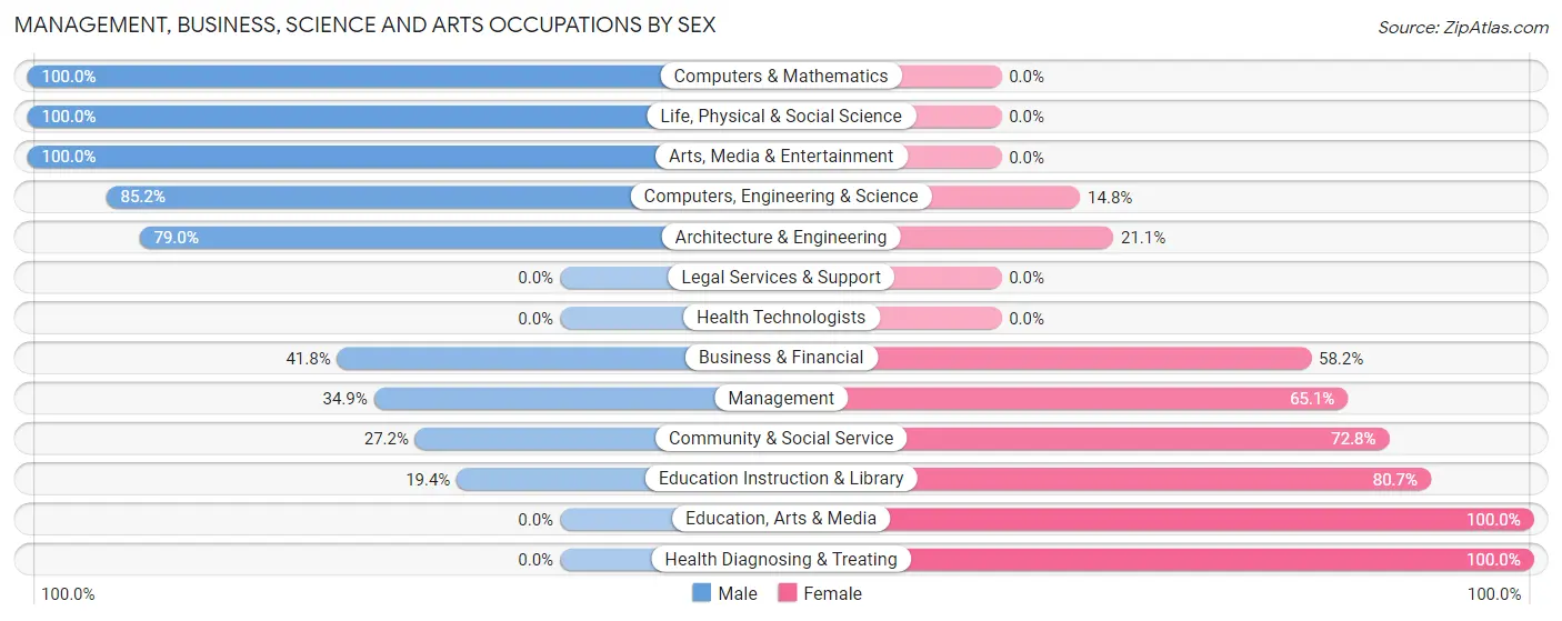 Management, Business, Science and Arts Occupations by Sex in Chester Center