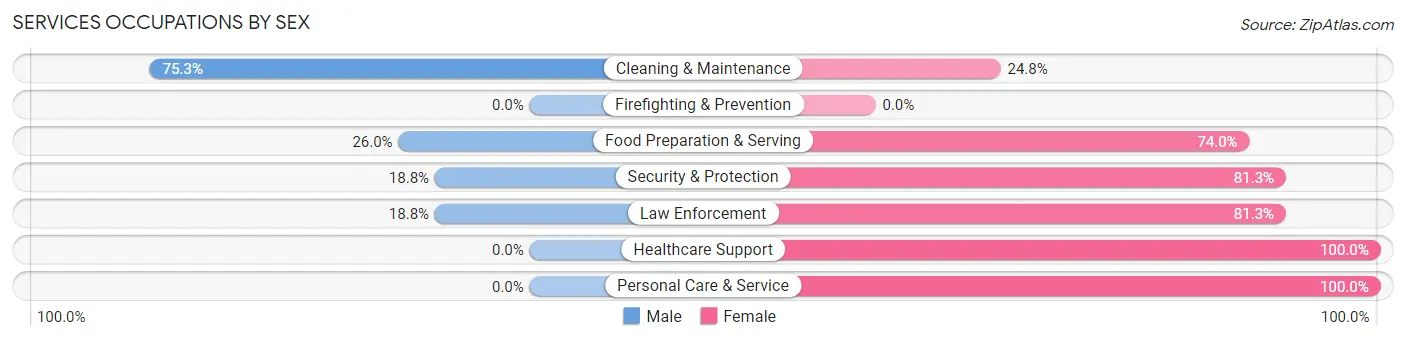 Services Occupations by Sex in Clinton