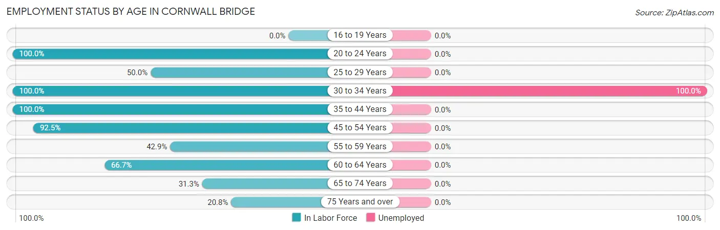 Employment Status by Age in Cornwall Bridge