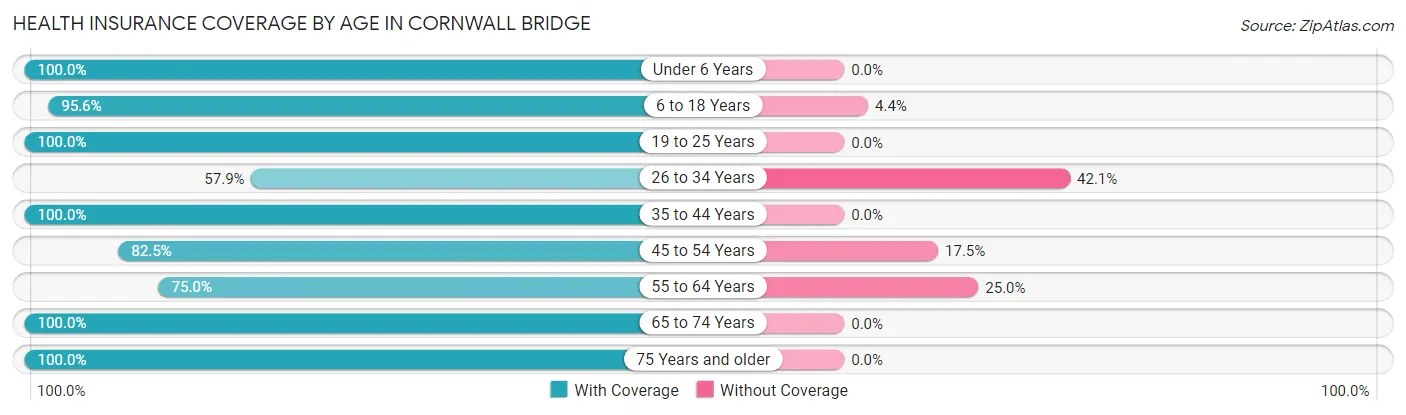 Health Insurance Coverage by Age in Cornwall Bridge