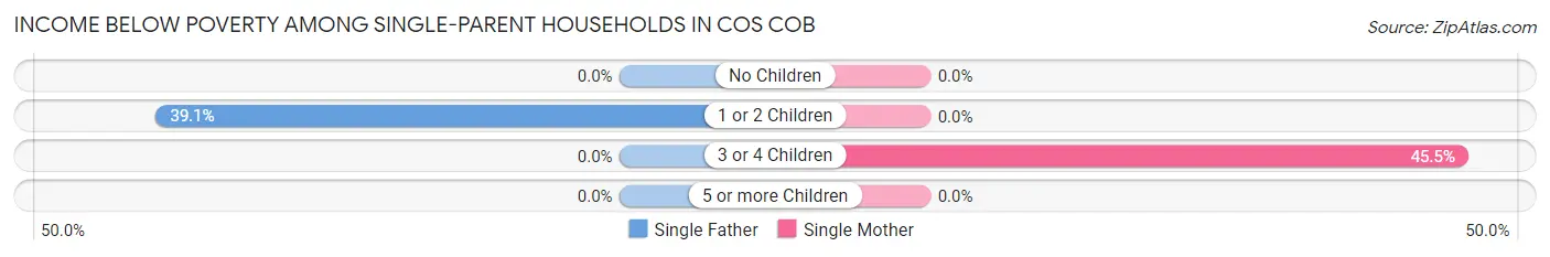 Income Below Poverty Among Single-Parent Households in Cos Cob