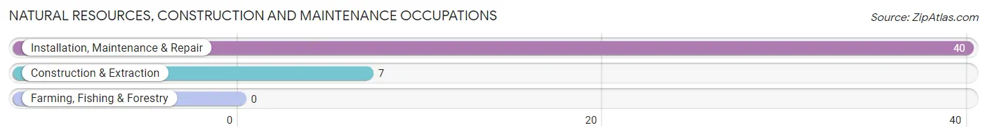 Natural Resources, Construction and Maintenance Occupations in Crystal Lake