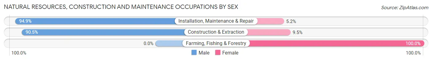 Natural Resources, Construction and Maintenance Occupations by Sex in East Hartford