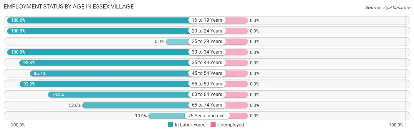 Employment Status by Age in Essex Village
