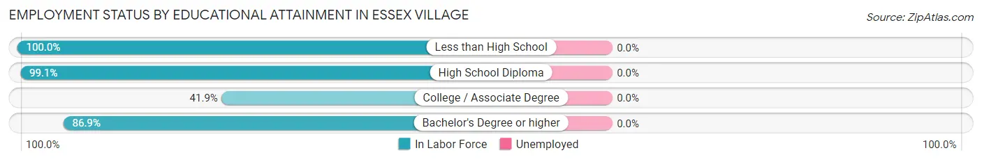 Employment Status by Educational Attainment in Essex Village