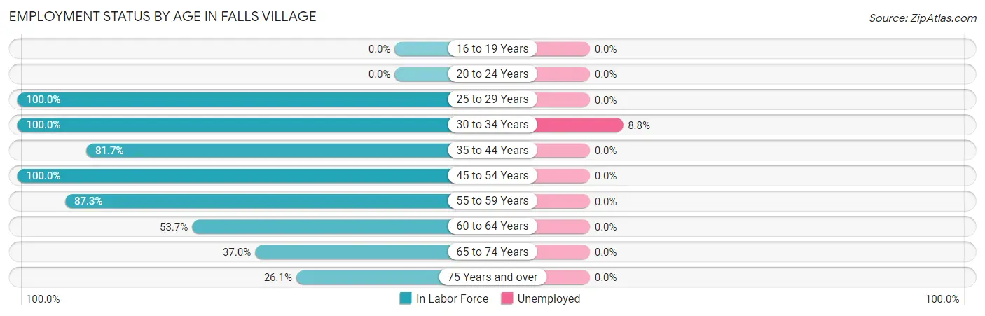 Employment Status by Age in Falls Village