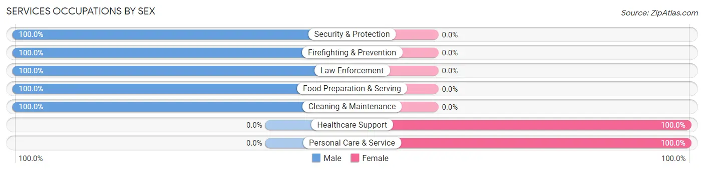 Services Occupations by Sex in Gales Ferry