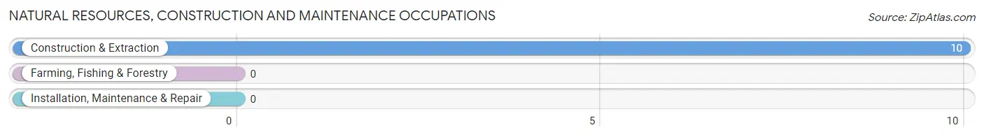 Natural Resources, Construction and Maintenance Occupations in Glenville