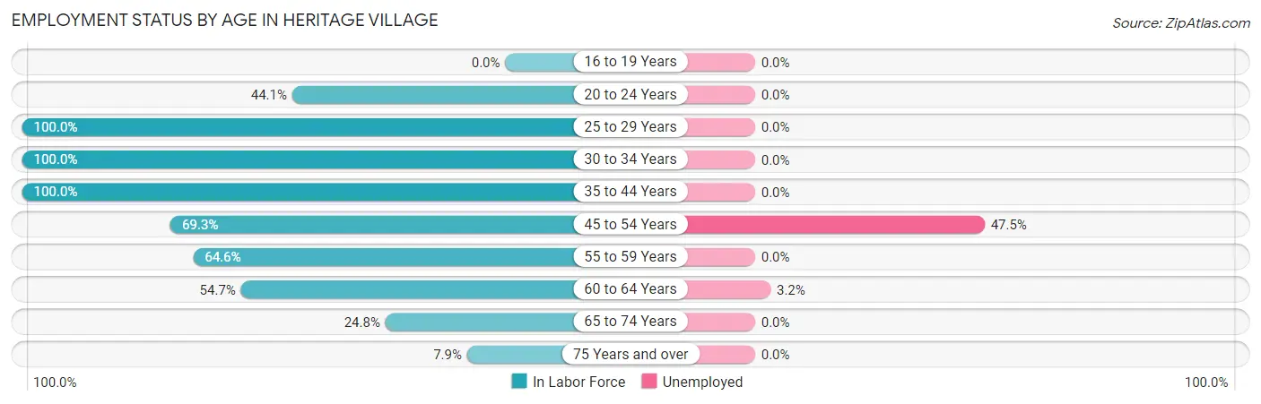 Employment Status by Age in Heritage Village