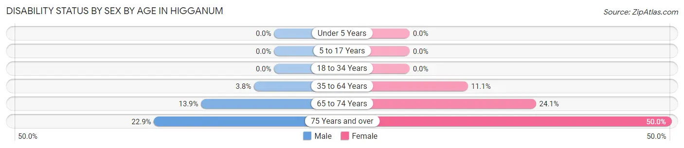Disability Status by Sex by Age in Higganum