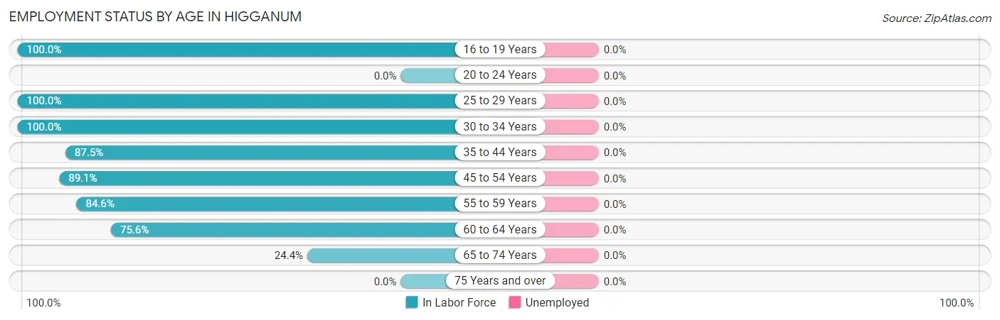 Employment Status by Age in Higganum