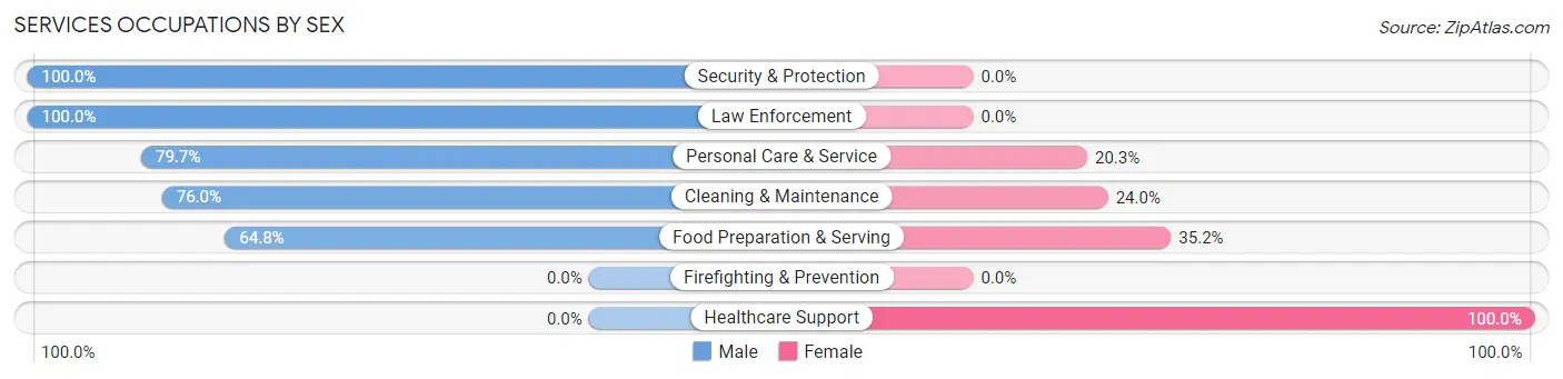 Services Occupations by Sex in Jewett City borough