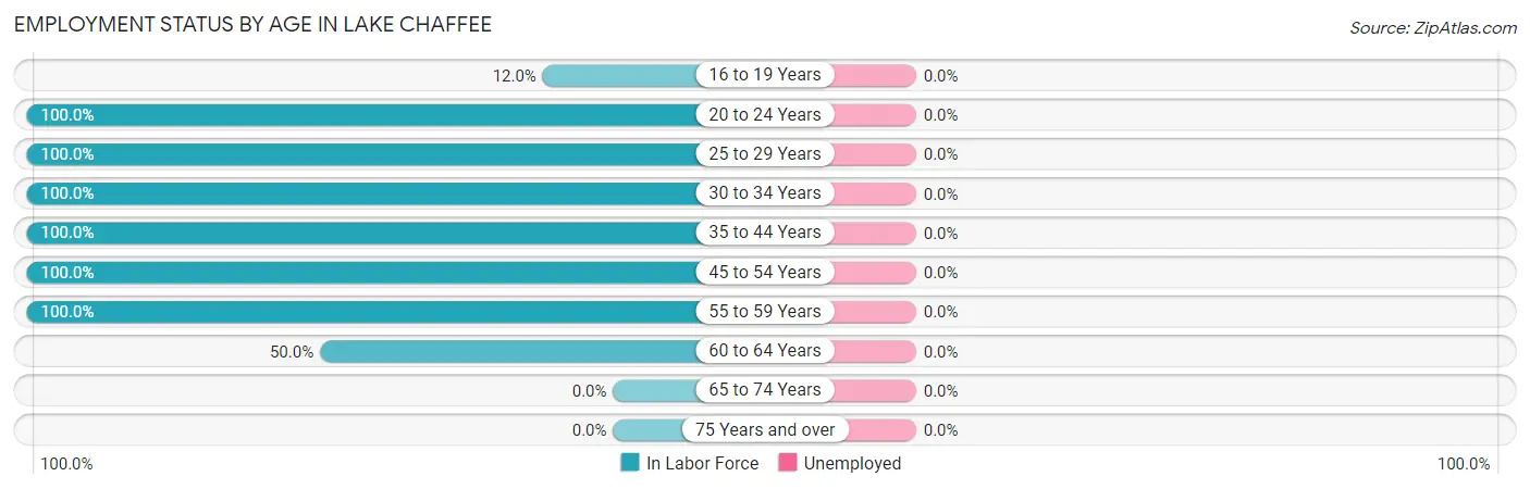 Employment Status by Age in Lake Chaffee