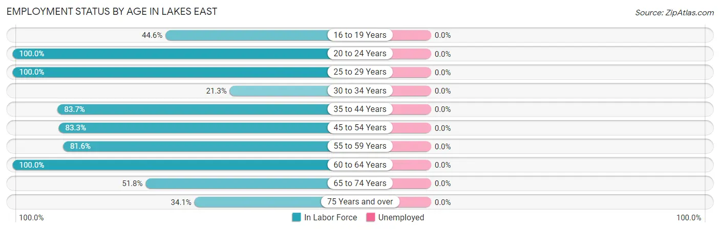 Employment Status by Age in Lakes East