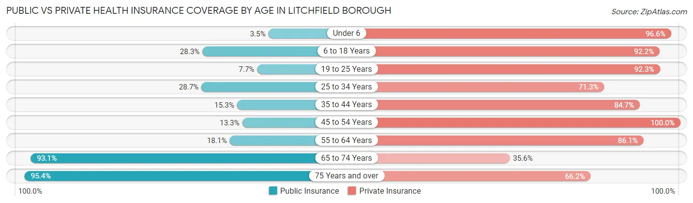 Public vs Private Health Insurance Coverage by Age in Litchfield borough