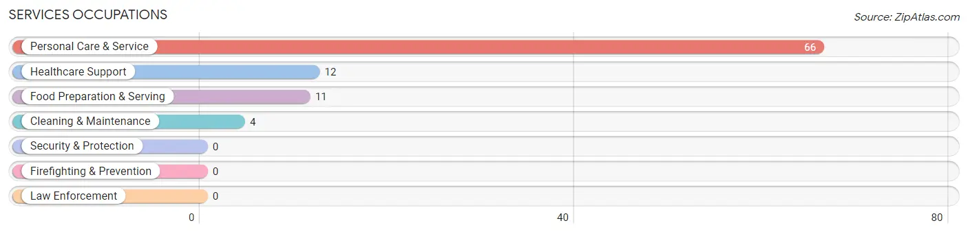 Services Occupations in Madison Center