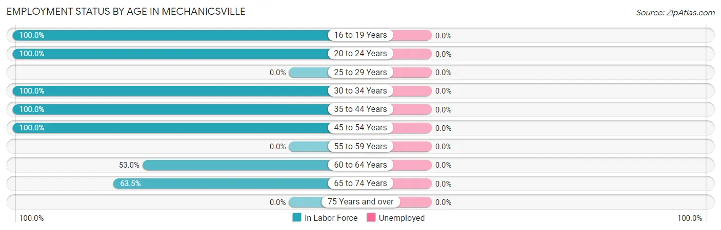 Employment Status by Age in Mechanicsville