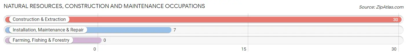 Natural Resources, Construction and Maintenance Occupations in New Canaan