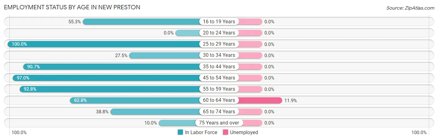 Employment Status by Age in New Preston