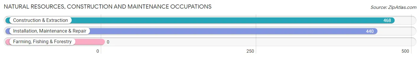 Natural Resources, Construction and Maintenance Occupations in Newington