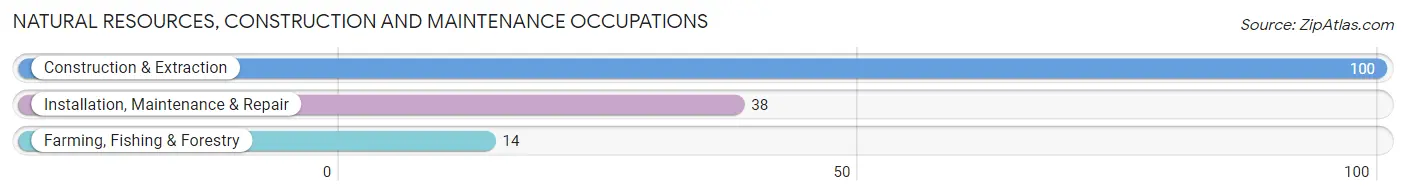 Natural Resources, Construction and Maintenance Occupations in Noroton