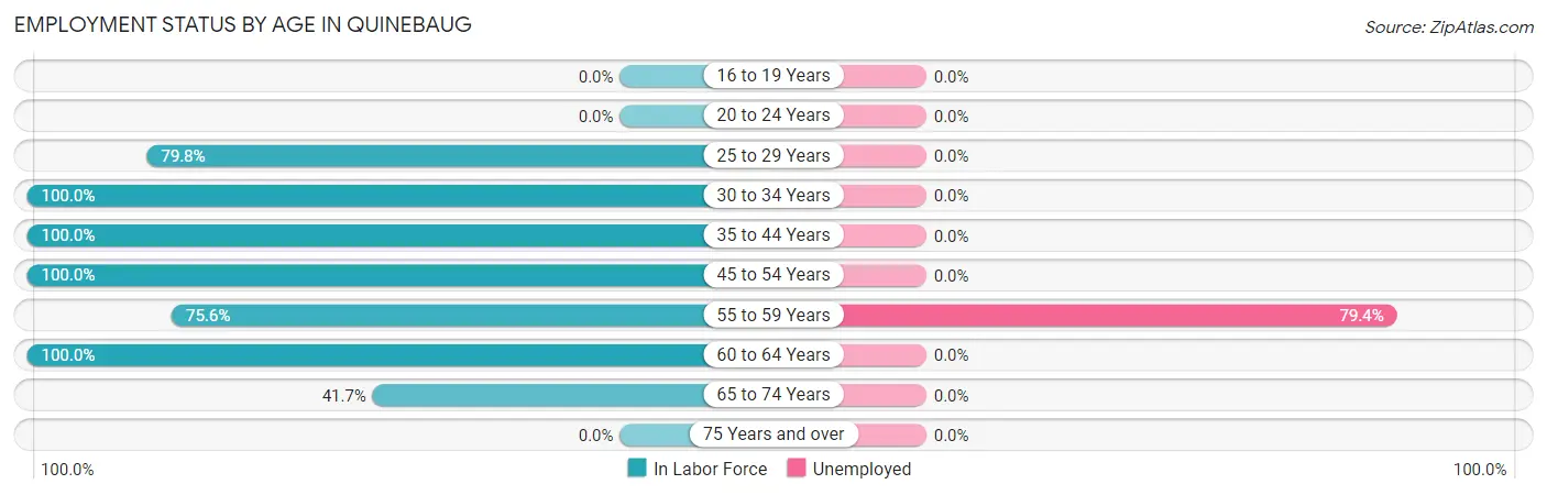 Employment Status by Age in Quinebaug