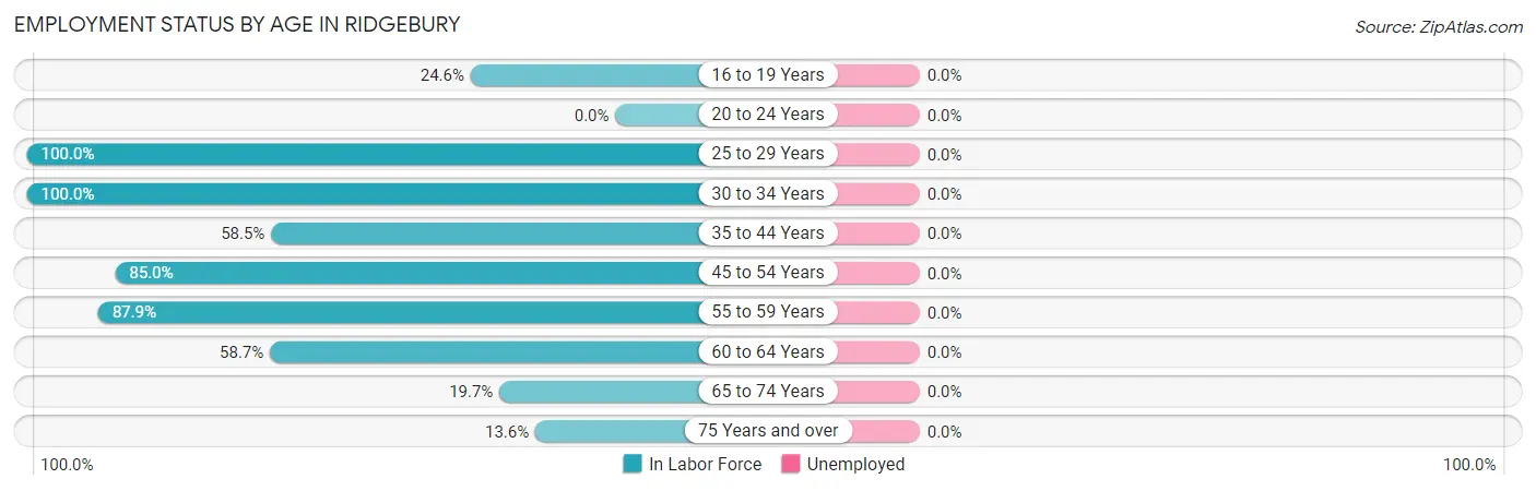 Employment Status by Age in Ridgebury