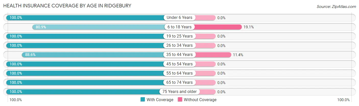 Health Insurance Coverage by Age in Ridgebury