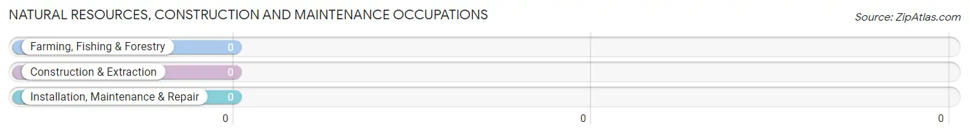 Natural Resources, Construction and Maintenance Occupations in Rock Ridge